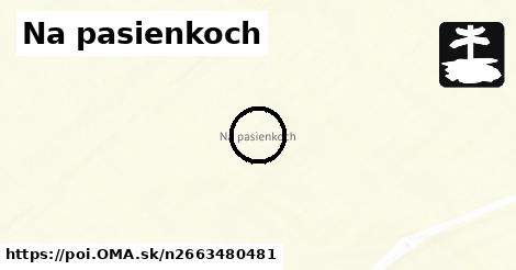 Na pasienkoch