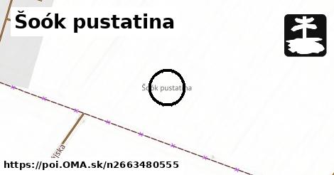 Šoók pustatina