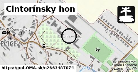 Cintorínsky hon