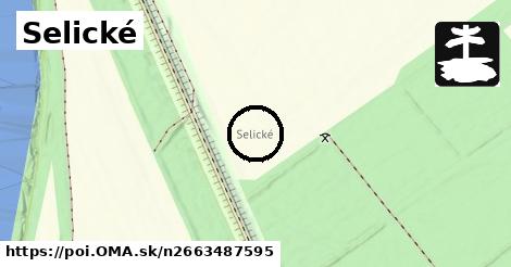 Selické