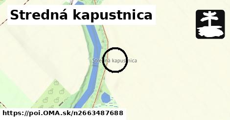 Stredná kapustnica