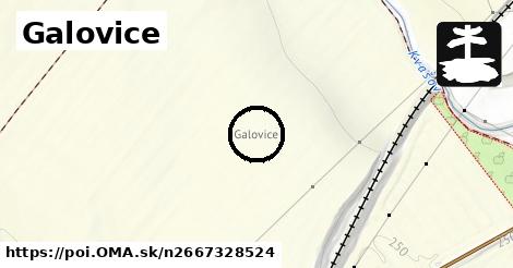 Galovice