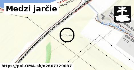 Medzi jarčie