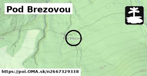 Pod Brezovou