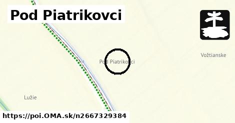 Pod Piatrikovci