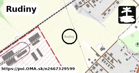 Rudiny