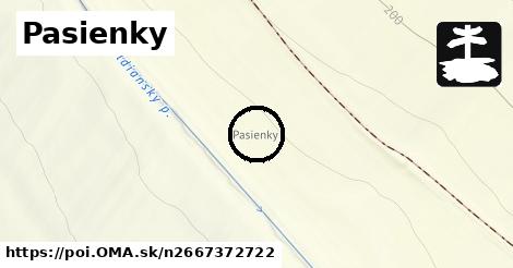 Pasienky