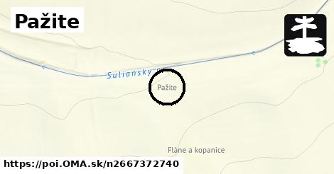 Pažite