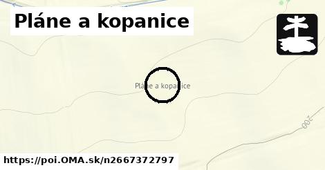 Pláne a kopanice