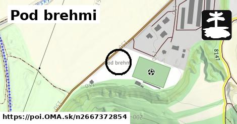 Pod brehmi