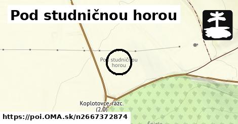 Pod studničnou horou