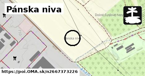 Pánska niva