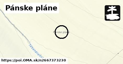 Pánske pláne