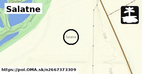 Salatne