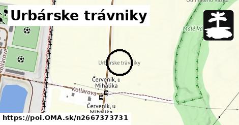 Urbárske trávniky