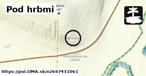 Pod hrbmi