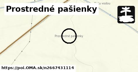 Prostredné pašienky