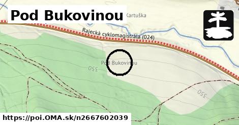 Pod Bukovinou