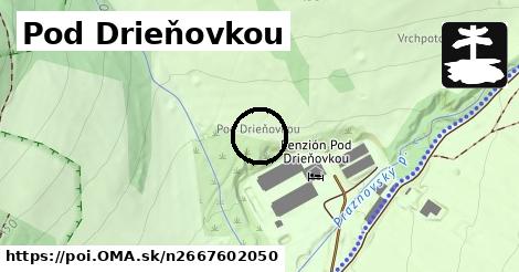 Pod Drieňovkou