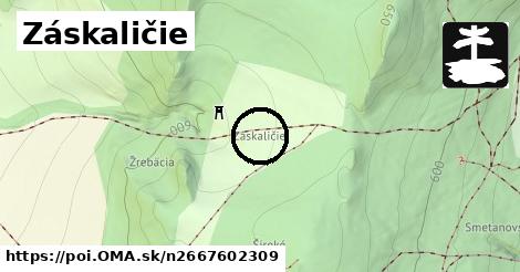 Záskaličie