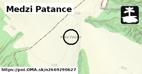 Medzi Patance