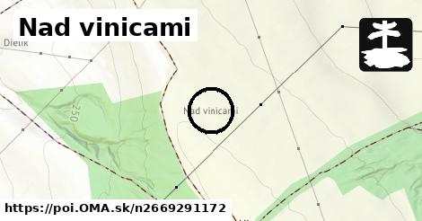 Nad vinicami