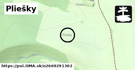 Pliešky