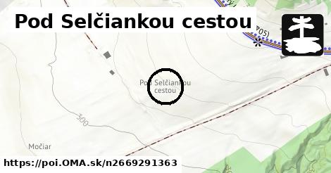 Pod Selčiankou cestou