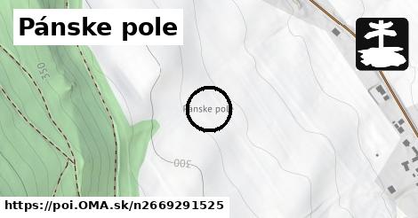 Pánske pole