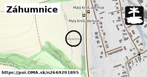 Záhumnice