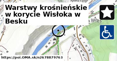 Warstwy krośnieńskie w korycie Wisłoka w Besku