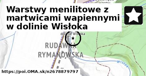 Warstwy menilitowe z martwicami wapiennymi w dolinie Wisłoka