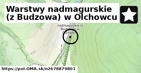 Warstwy nadmagurskie (z Budzowa) w Olchowcu