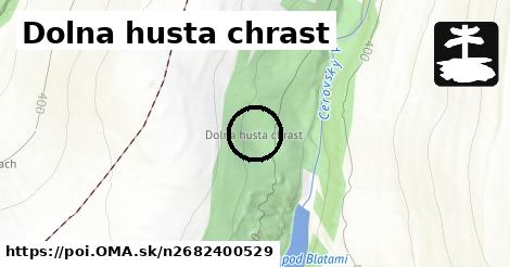 Dolna husta chrast