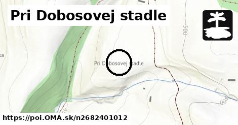 Pri Dobosovej stadle