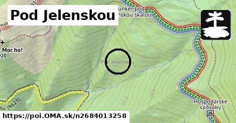 Pod Jelenskou