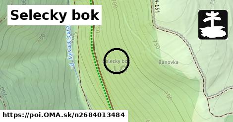 Selecky bok