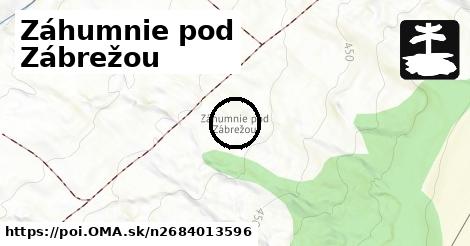 Záhumnie pod Zábrežou