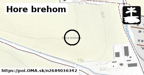 Hore brehom