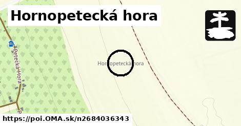 Hornopetecká hora