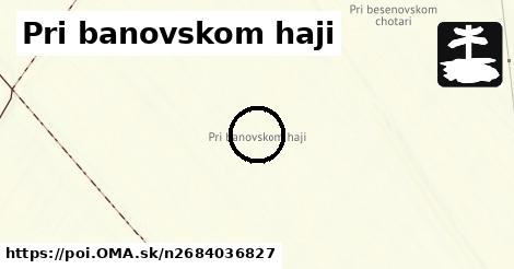 Pri banovskom haji