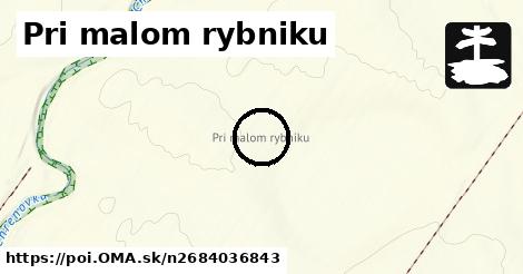 Pri malom rybniku