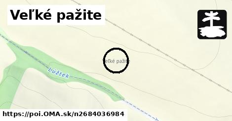 Veľké pažite