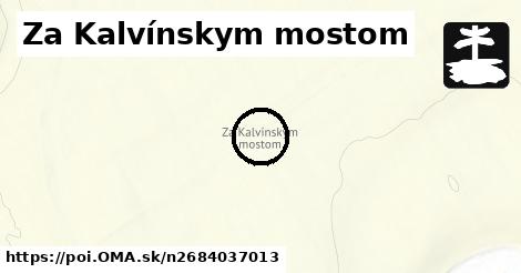 Za Kalvínskym mostom