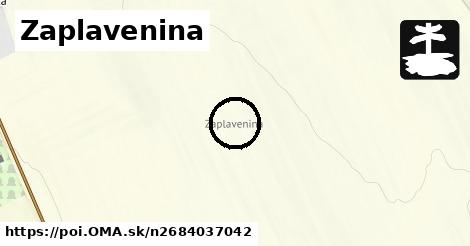 Zaplavenina