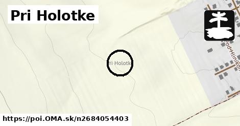 Pri Holotke