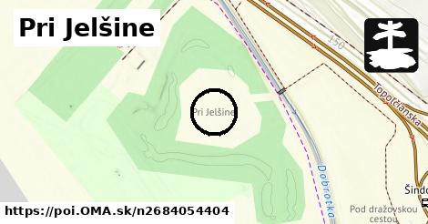 Pri Jelšine