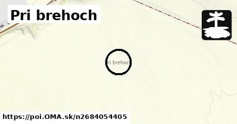 Pri brehoch