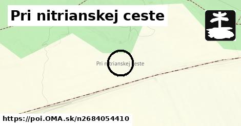 Pri nitrianskej ceste