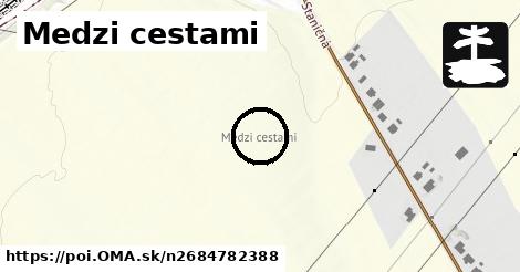 Medzi cestami